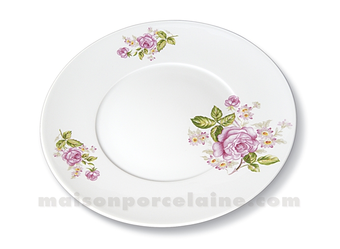 ASSIETTE PLATE LIMOGES ENVIE D28