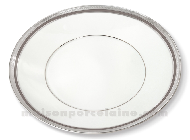 ASSIETTE PLATE LIMOGES ENVIE D28