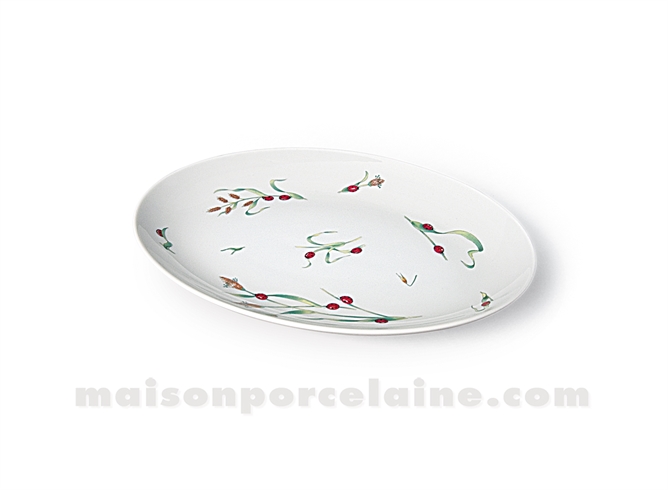 RAVIER LIMOGES ENVIE 24X17